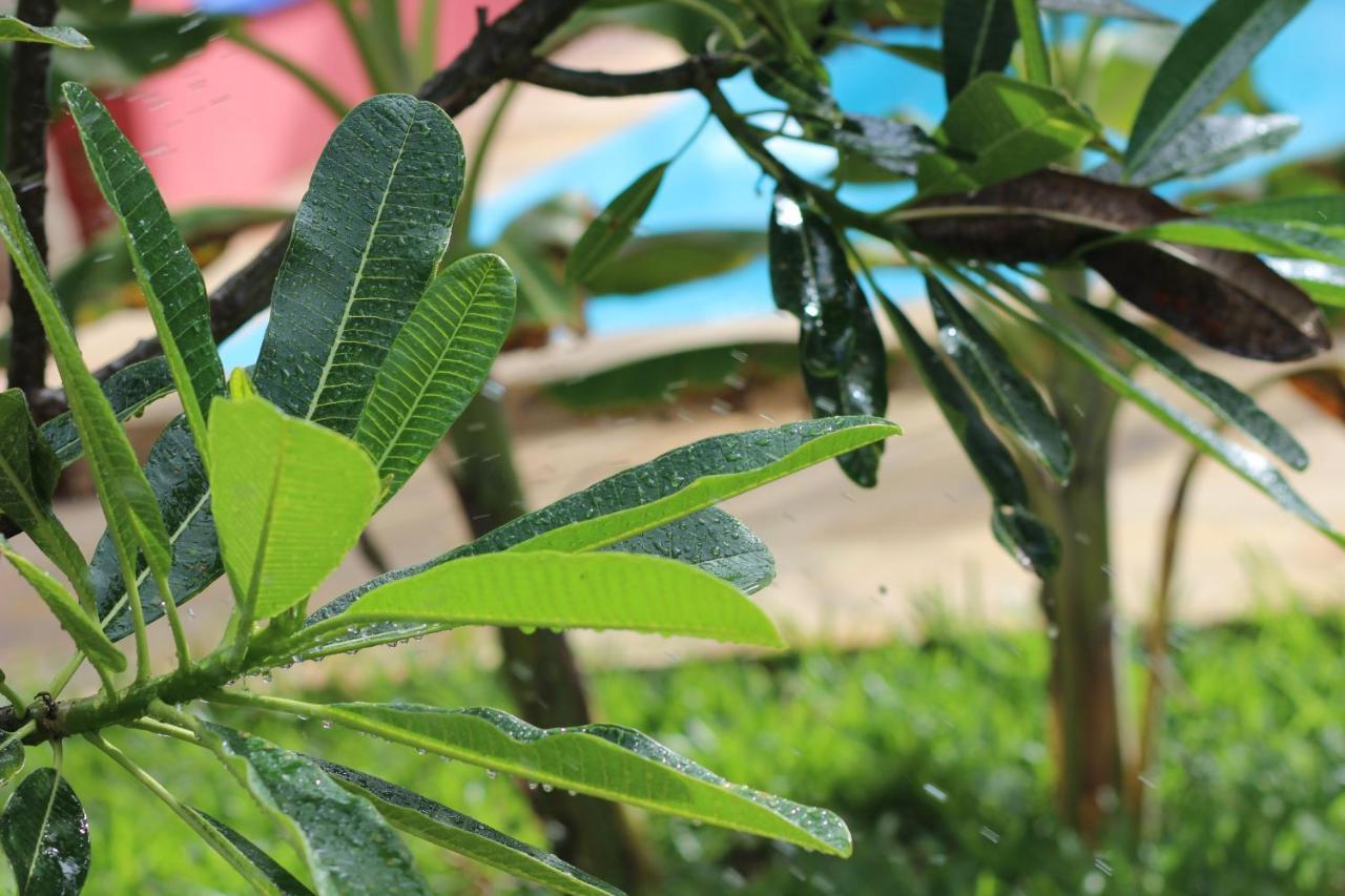 Baridi Villa 吉汶瓦 外观 照片