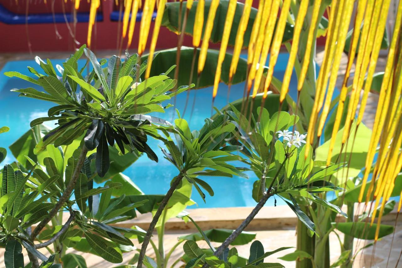 Baridi Villa 吉汶瓦 外观 照片
