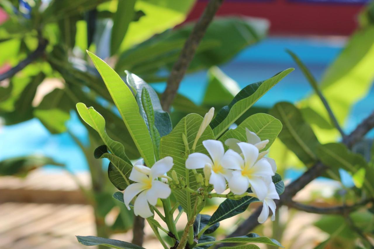 Baridi Villa 吉汶瓦 外观 照片