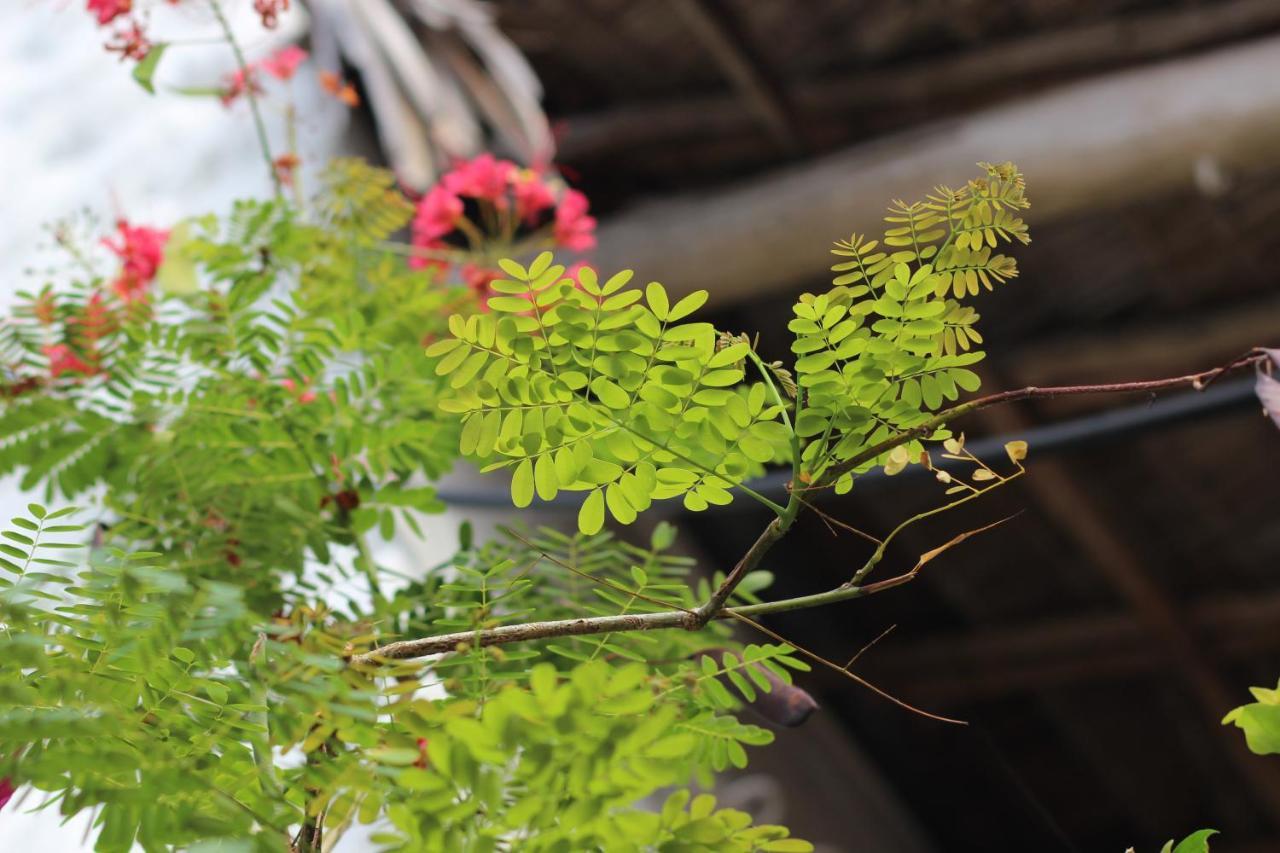 Baridi Villa 吉汶瓦 外观 照片