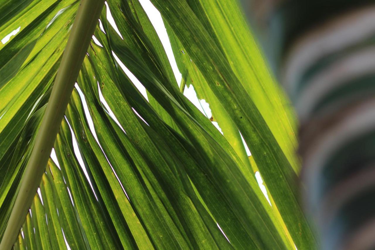 Baridi Villa 吉汶瓦 外观 照片